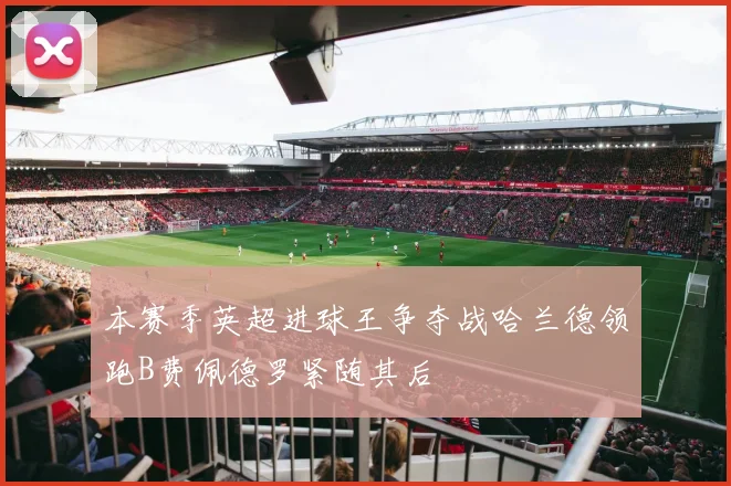 本赛季英超进球王争夺战哈兰德领跑B费佩德罗紧随其后